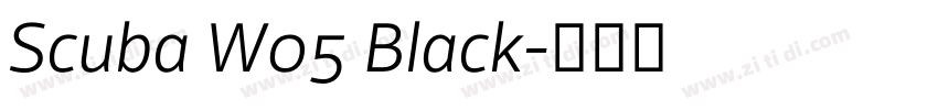 Scuba W05 Black字体转换